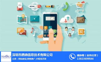 網站建設公司 網站建設 騰鴿信息