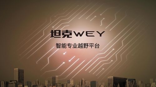 靴子落地，坦克來(lái)了 技術(shù)開(kāi)發(fā)的破局與深耕
